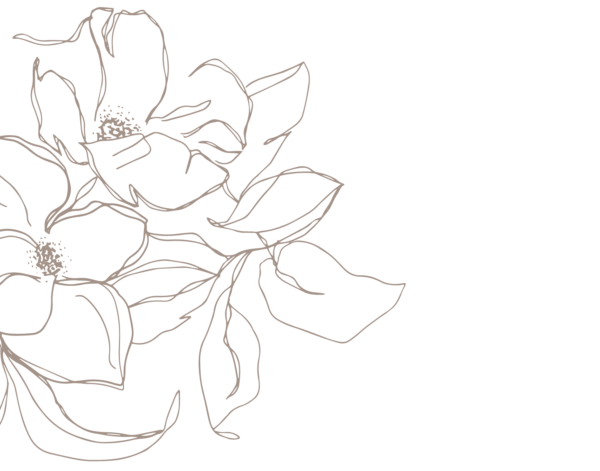 taupe-flower-left.png